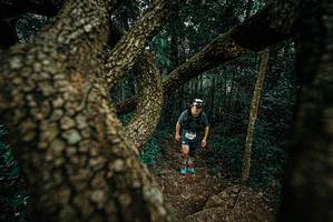 BIB: 
                            <button type="button" onclick="openModal(25696400)" class="btn btn-primary btn-sm float-right btn-popup" data-toggle="modal" data-target=".modal-high-quality">
                        <i class="fas fa-shopping-cart"></i> Add to Cart
                    </button>
                                            <button type="button" onclick="isThisMe(25696400, true)" class="btn btn-success btn-sm float-right btn-popup btn-isme hidden" data-toggle="tooltip" data-placement="bottom" title="นี่คือรูปของคุณใช่ไหม คลิกที่นี่เพื่อเอาเข้าอัลบั้ม">
                        <i class="fas fa-plus"></i> Add to album
                    </button>
                    <button type="button" onclick="isThisMe(25696400, false)" class="btn btn-warning btn-sm float-right btn-popup btn-isnotme hidden">
                        <i class="fas fa-ban"></i> Remove from album
                    </button>